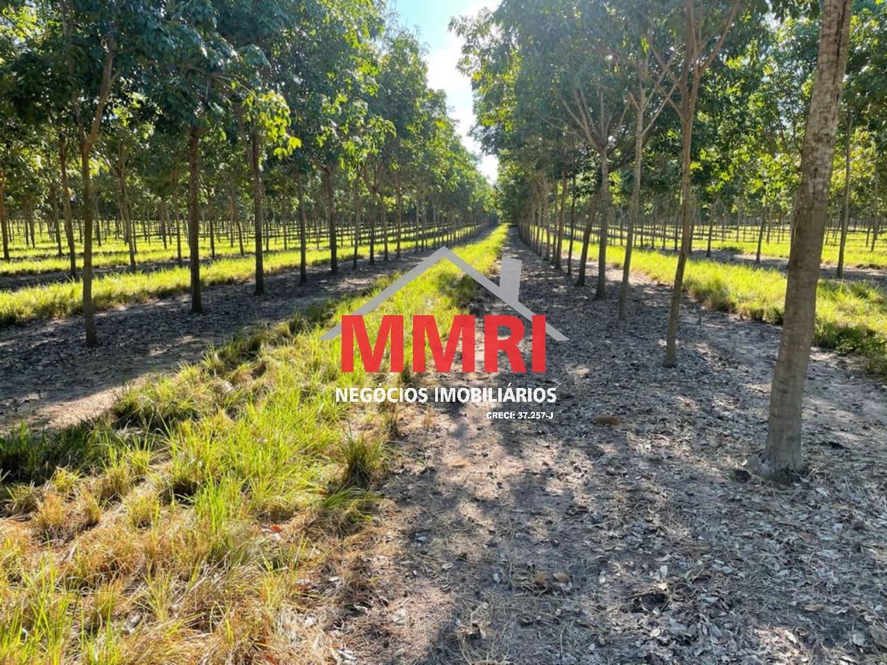 Fazenda, 2 hectares - Foto 37