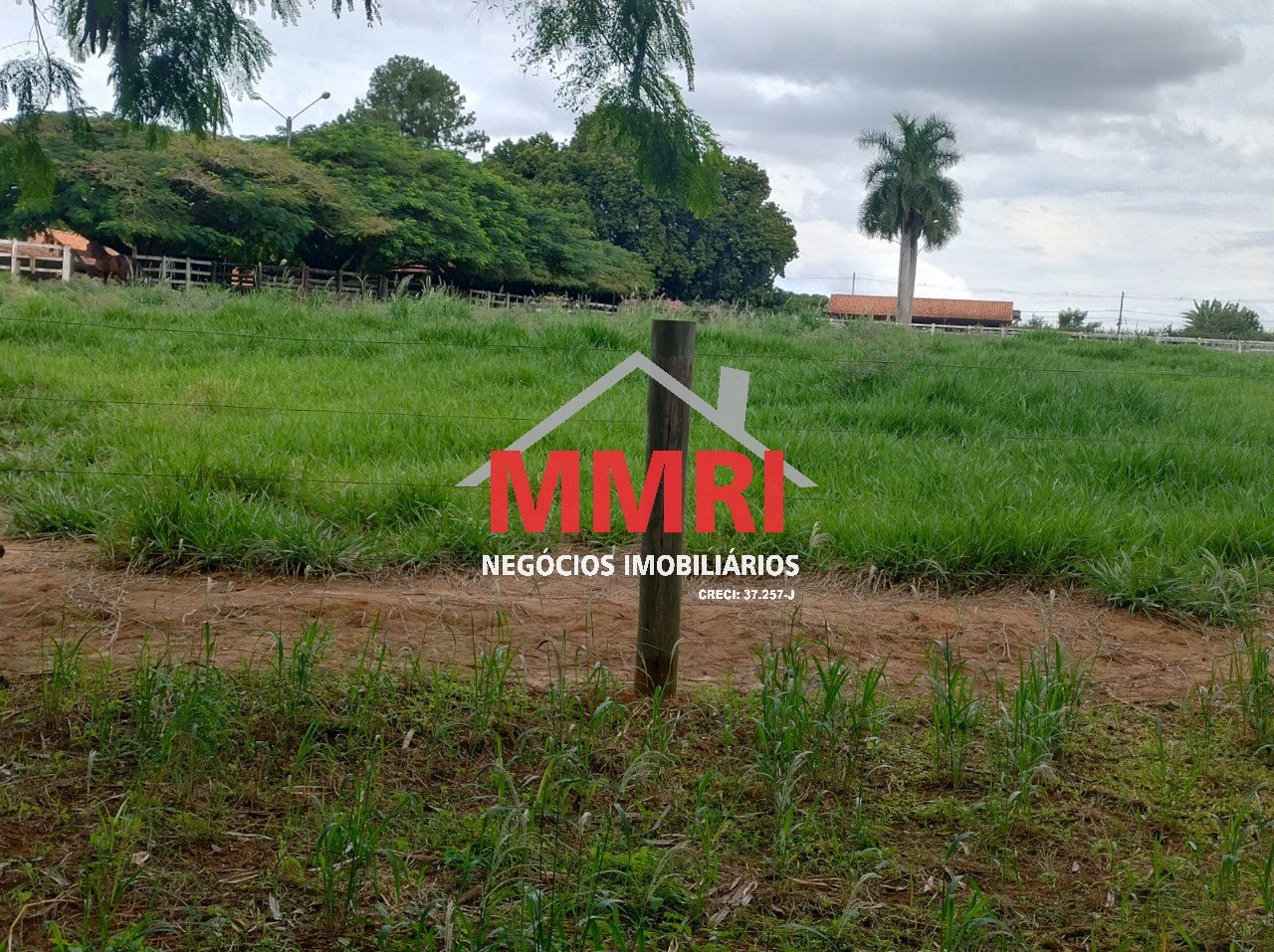 Fazenda, 4 hectares - Foto 13