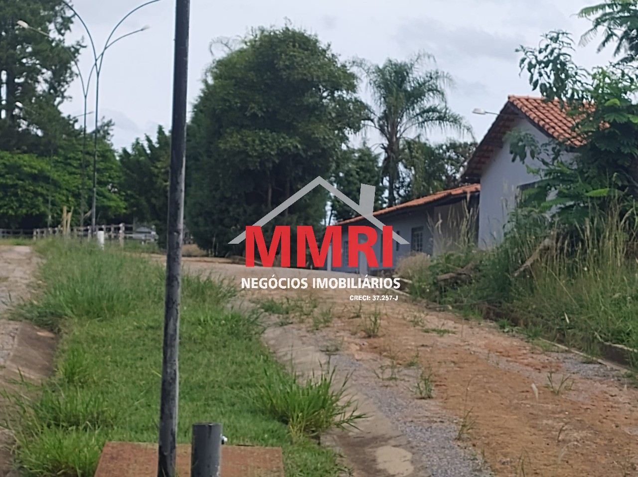 Fazenda, 4 hectares - Foto 7