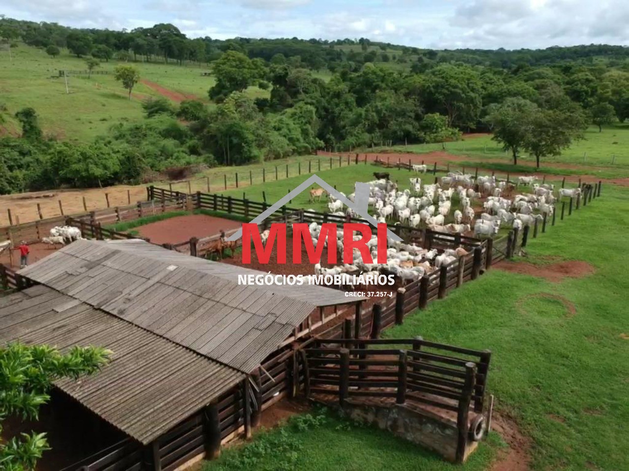 Fazenda - Foto 13