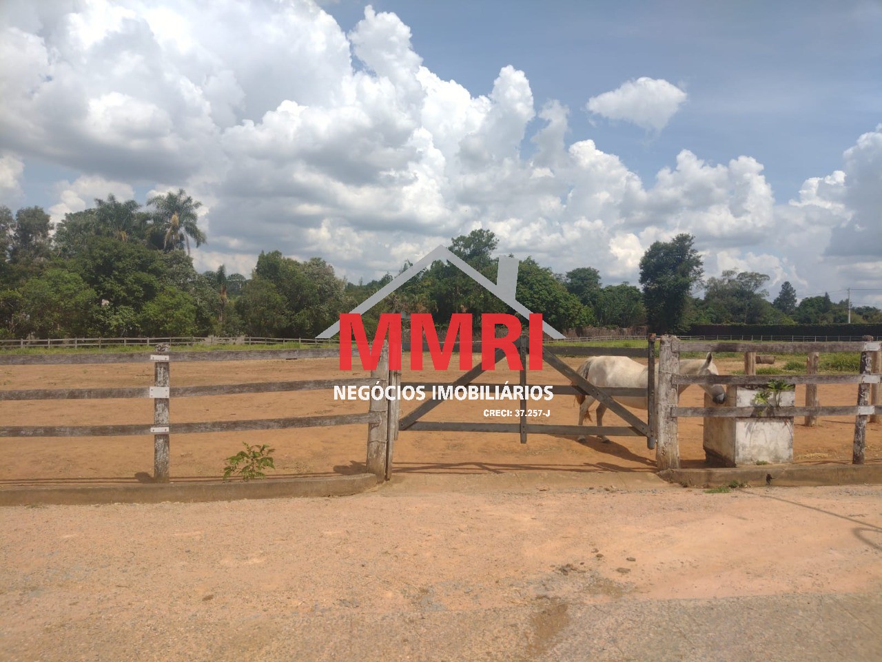 Fazenda, 4 hectares - Foto 20