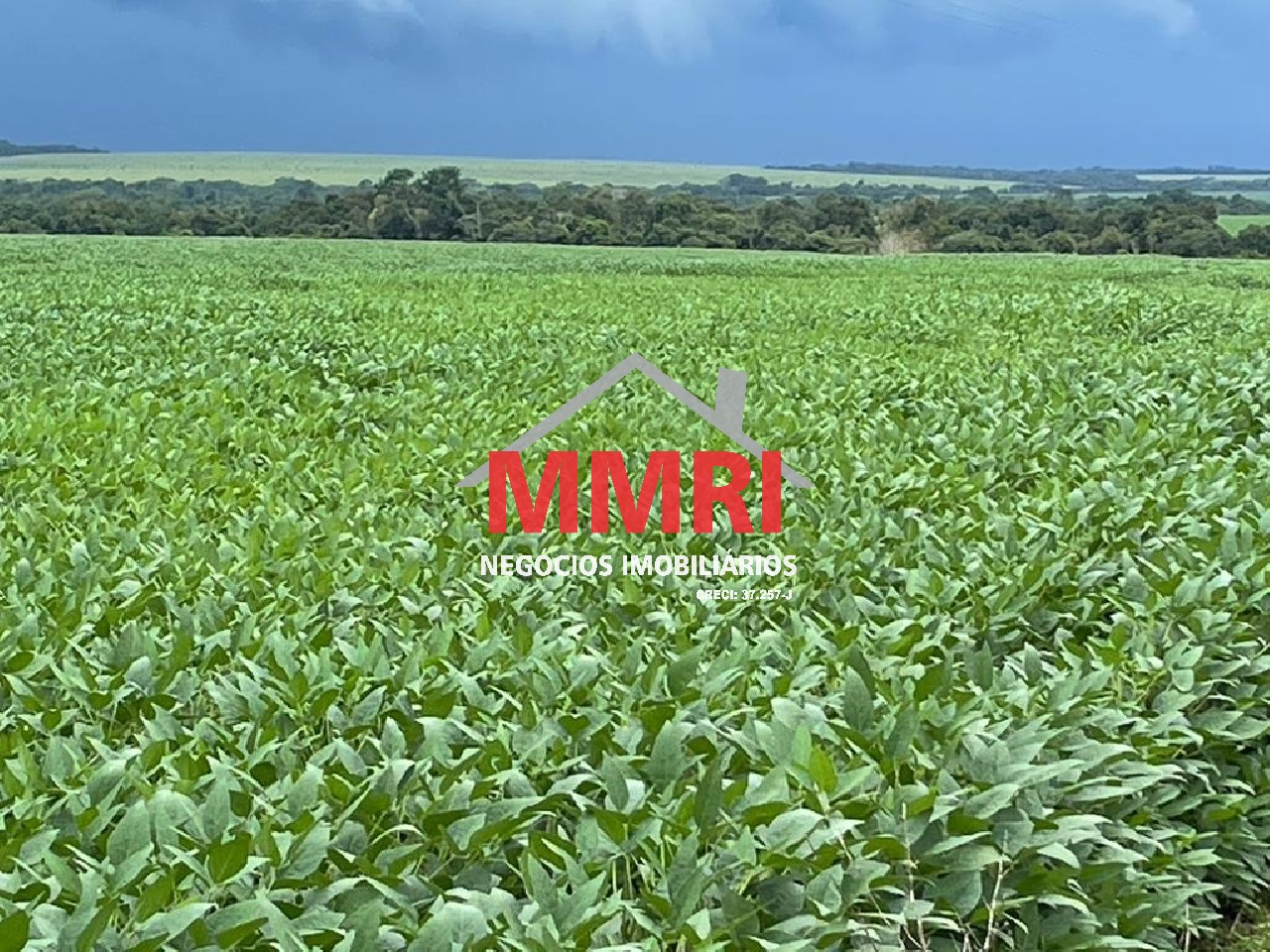 Fazenda, 2 hectares - Foto 22