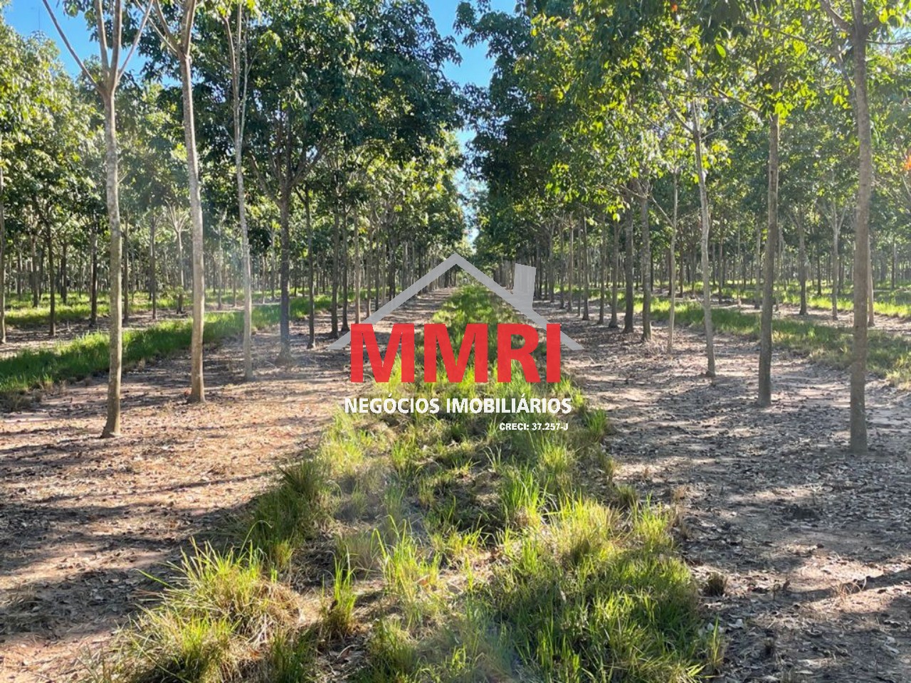 Fazenda, 2 hectares - Foto 29