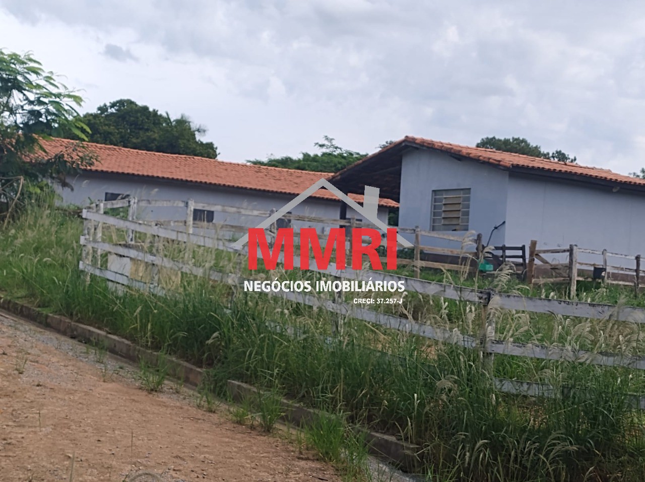 Fazenda, 4 hectares - Foto 6