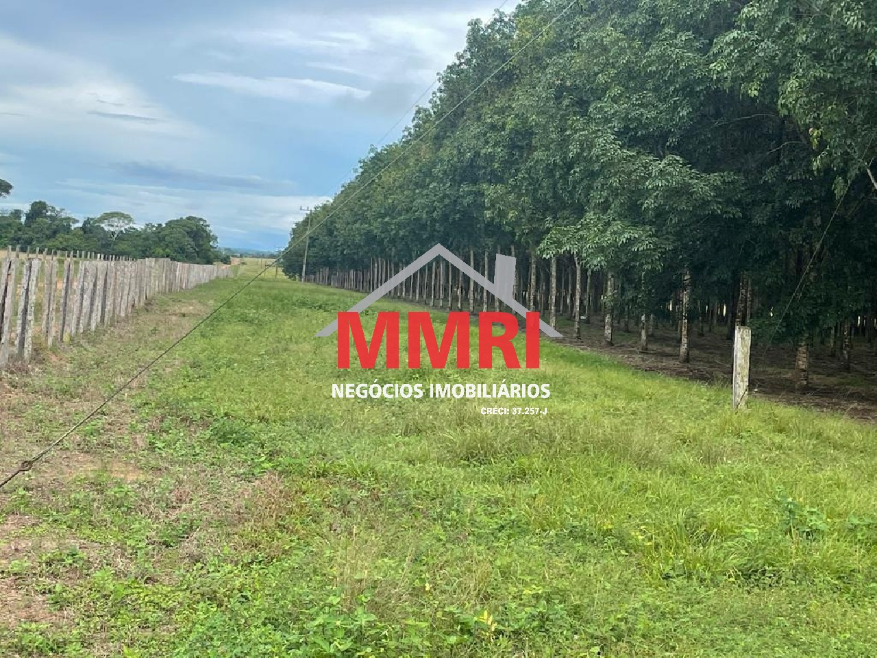 Fazenda, 2 hectares - Foto 7