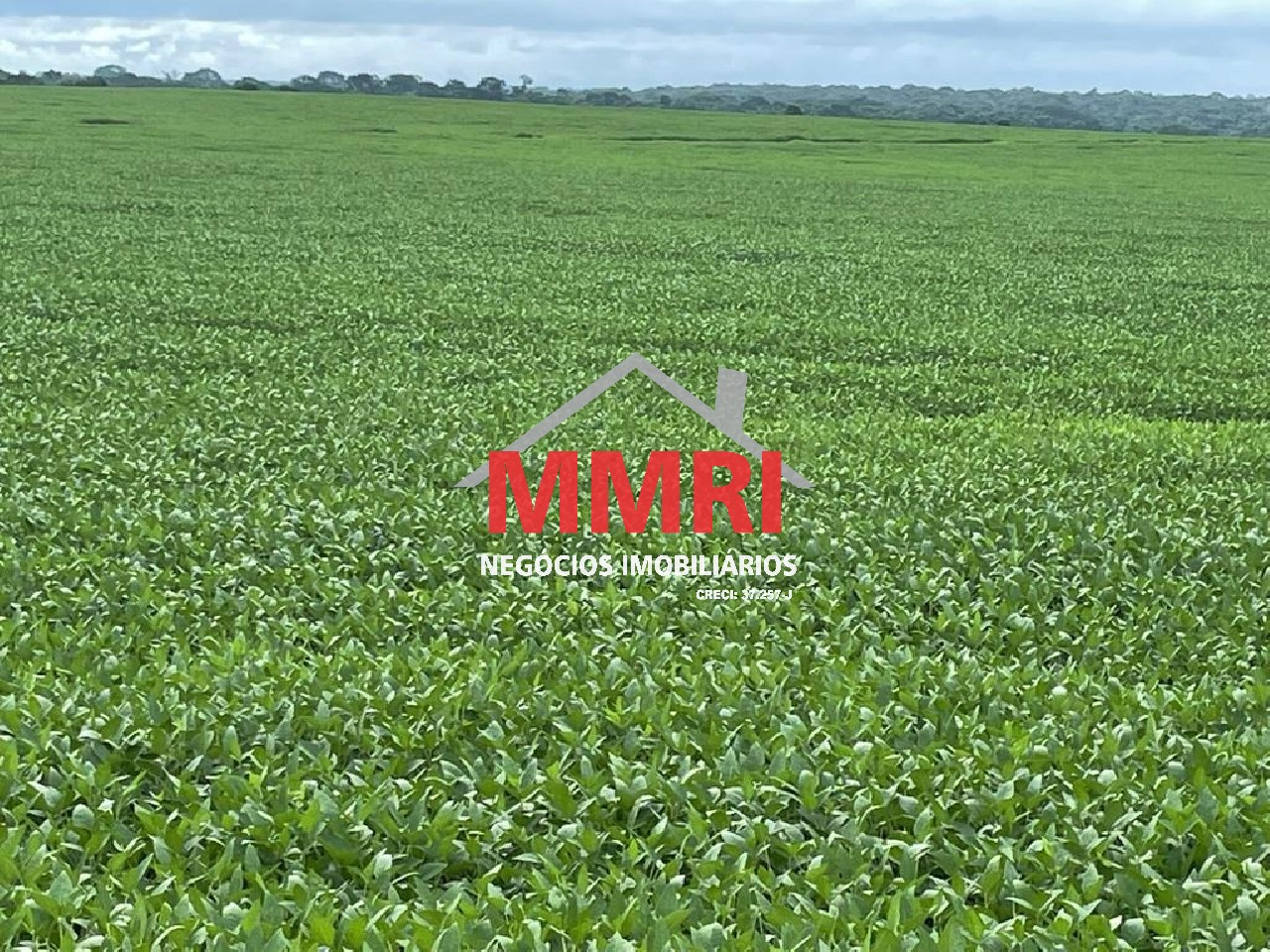 Fazenda, 2 hectares - Foto 10