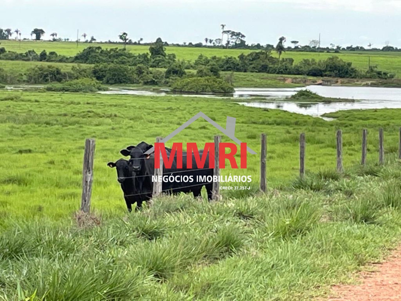 Fazenda, 2 hectares - Foto 38