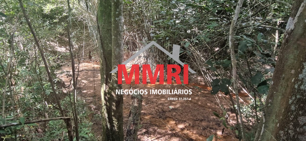 Chácara, 2 quartos, 5700 m² - Foto 14