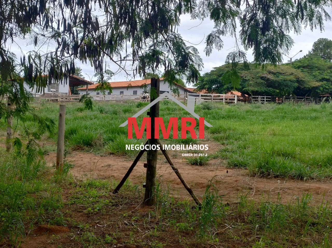 Fazenda, 4 hectares - Foto 12