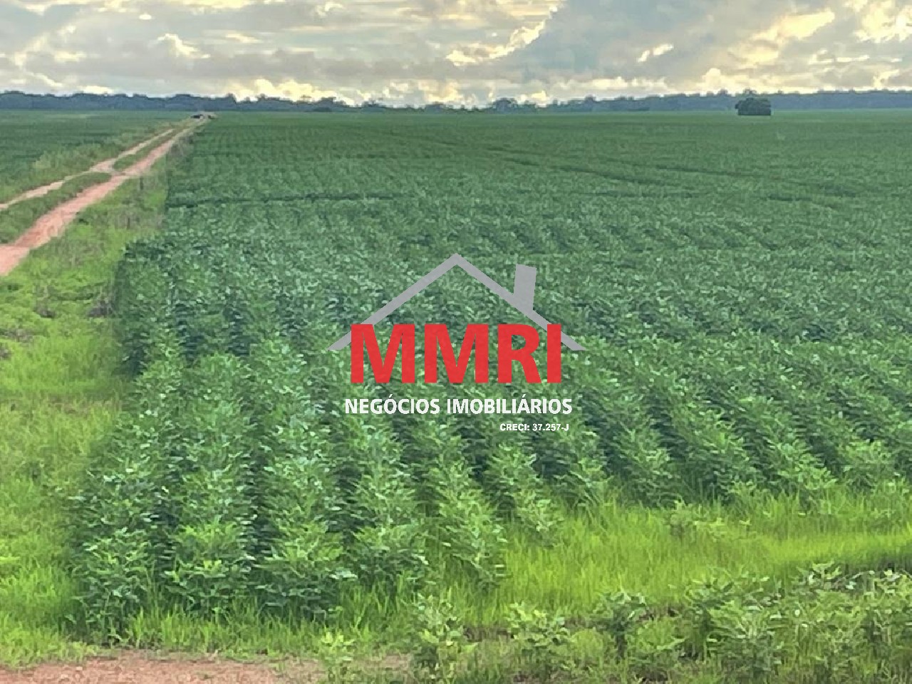 Fazenda, 2 hectares - Foto 6