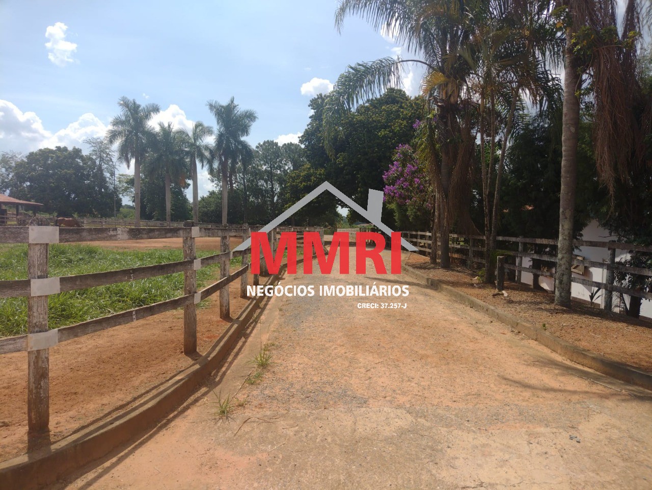 Fazenda, 4 hectares - Foto 17