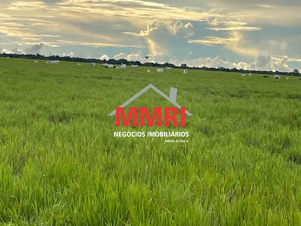 Fazenda, 2 hectares - Foto 9