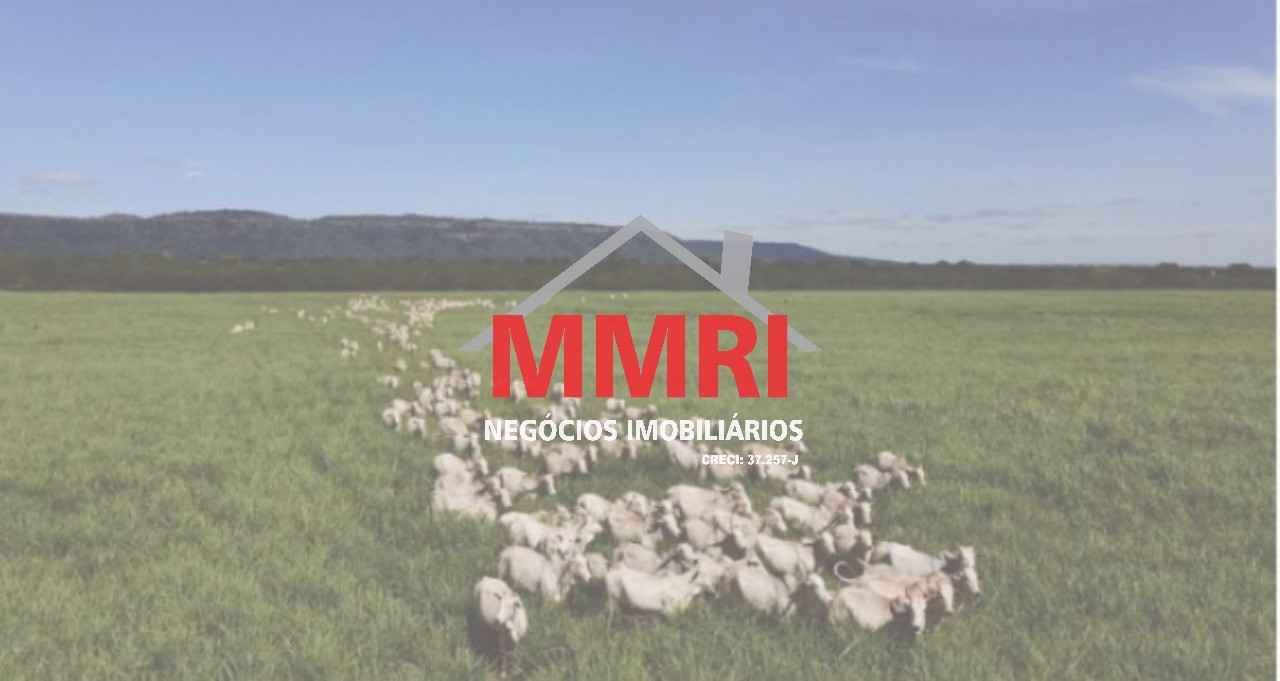 Fazenda - Foto 1