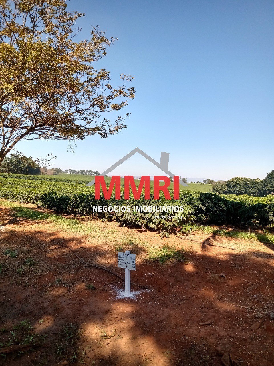 Fazenda, 1333 m² - Foto 13