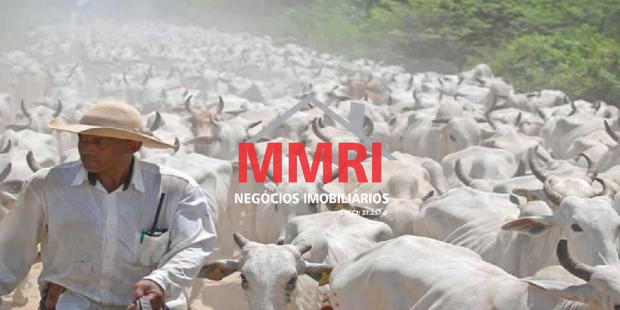 Fazenda, 8 hectares - Foto 1