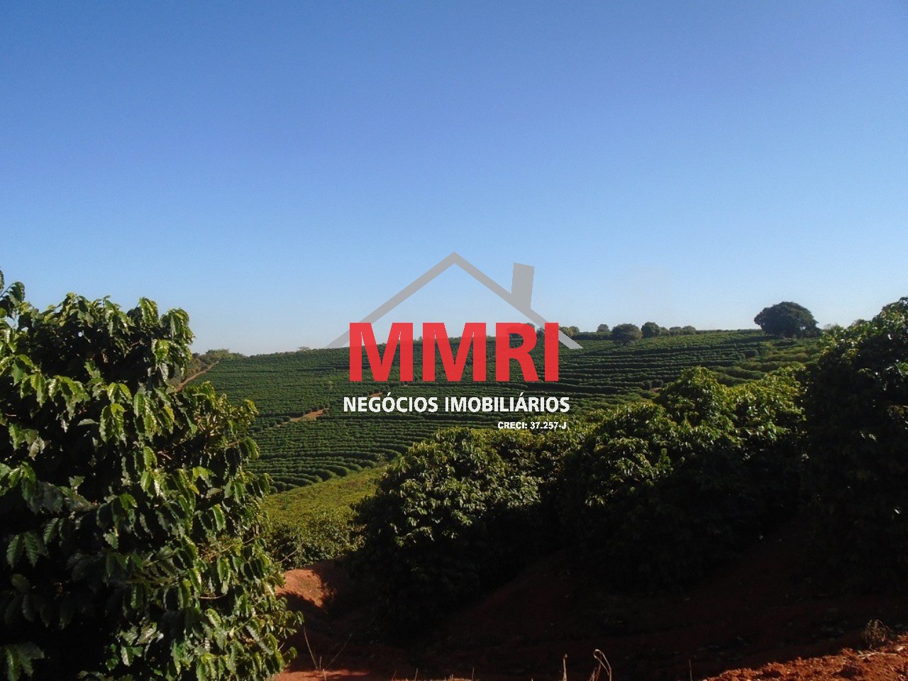 Fazenda, 1333 m² - Foto 10