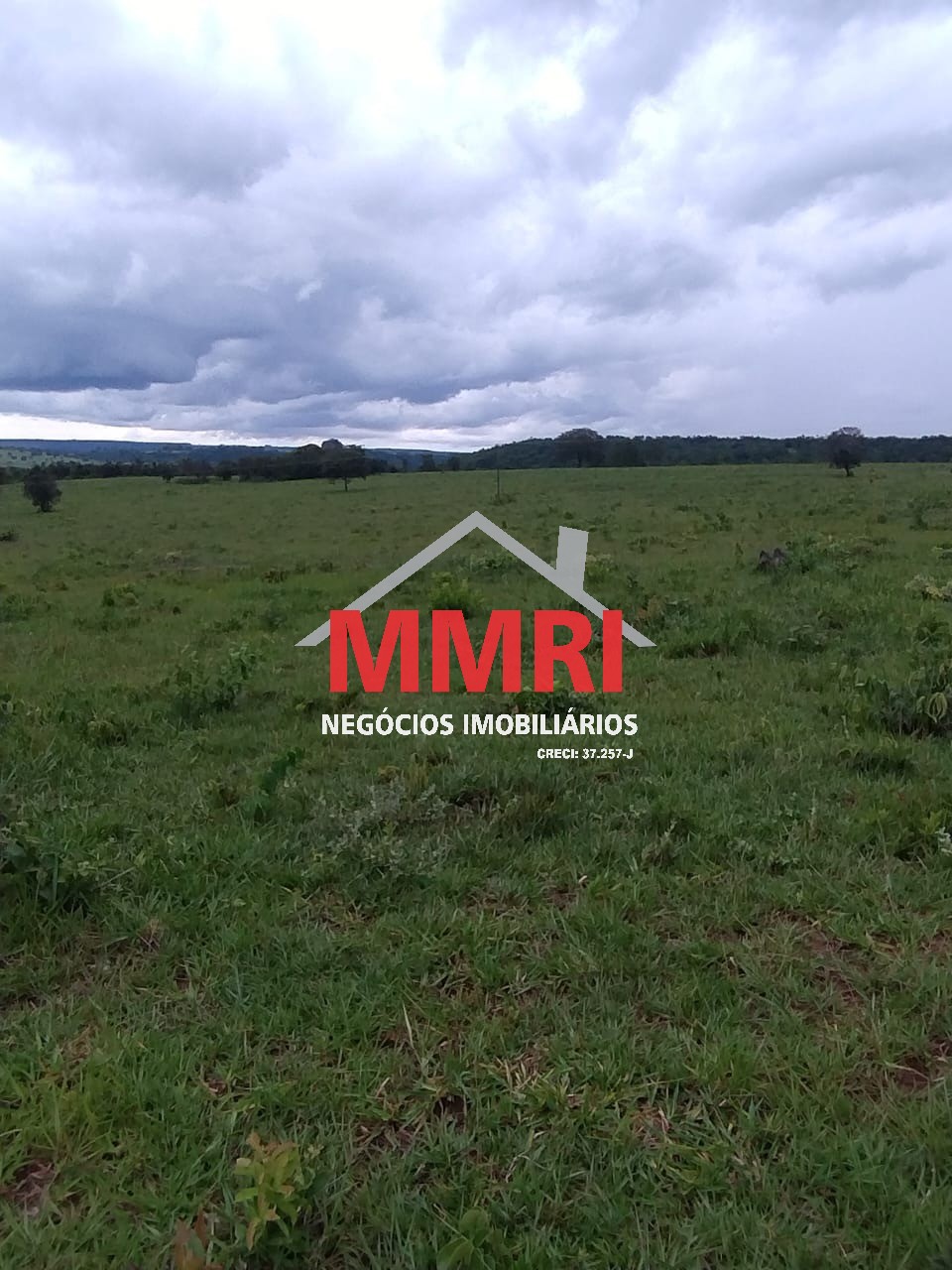 Fazenda - Foto 2