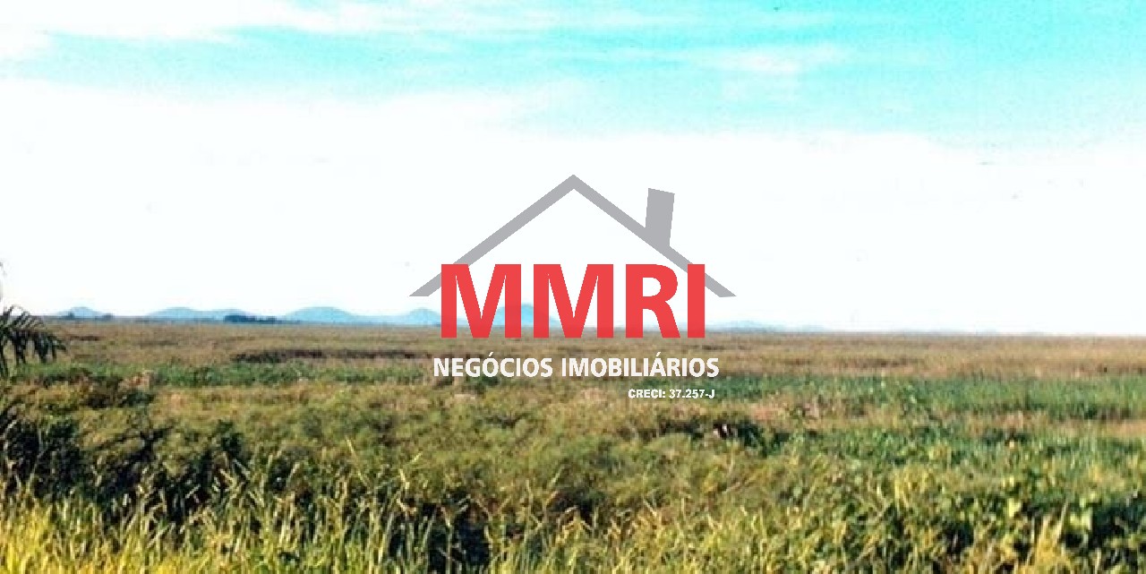 Fazenda, 8 hectares - Foto 7