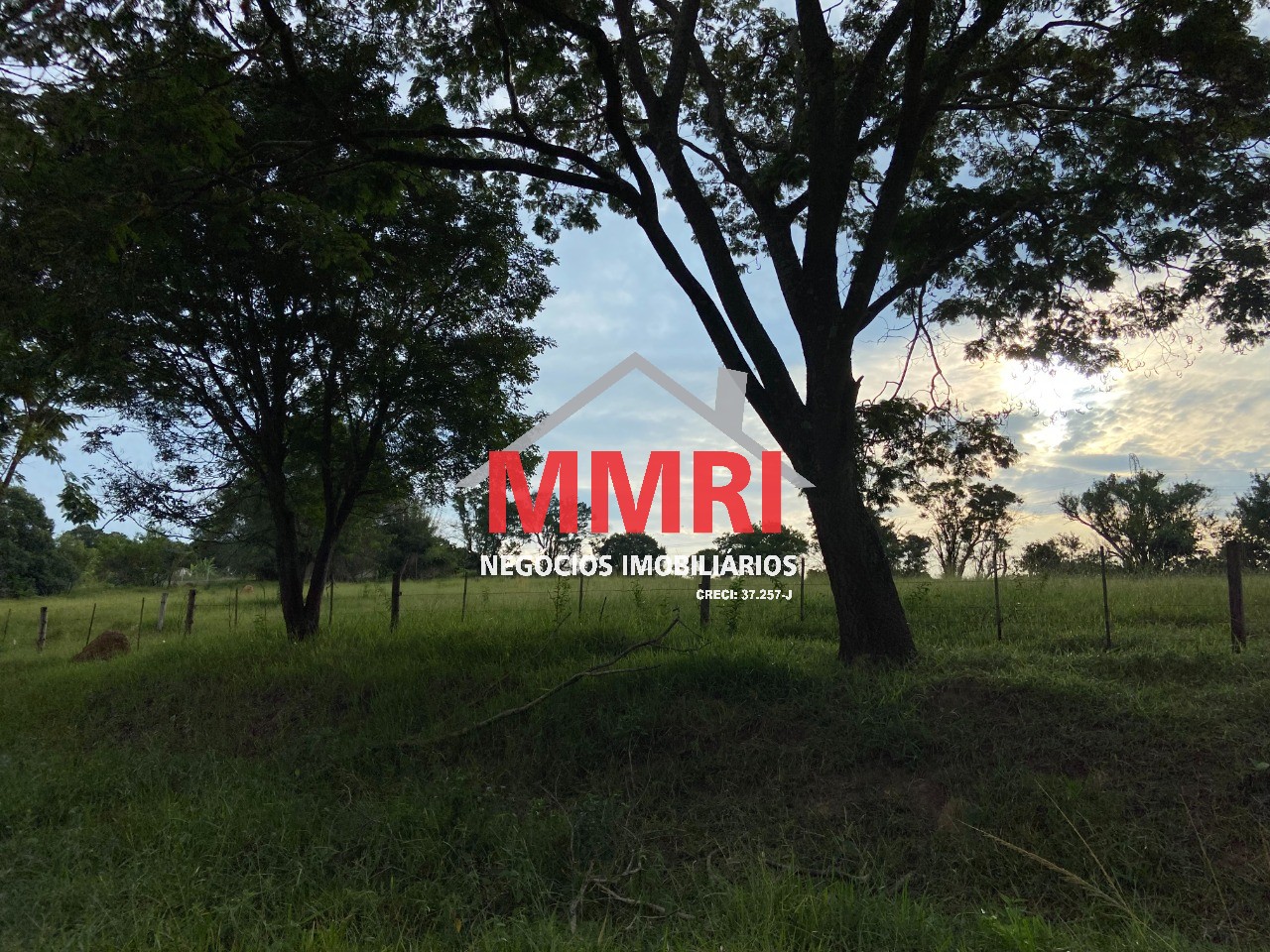 Terreno, 2 hectares - Foto 12