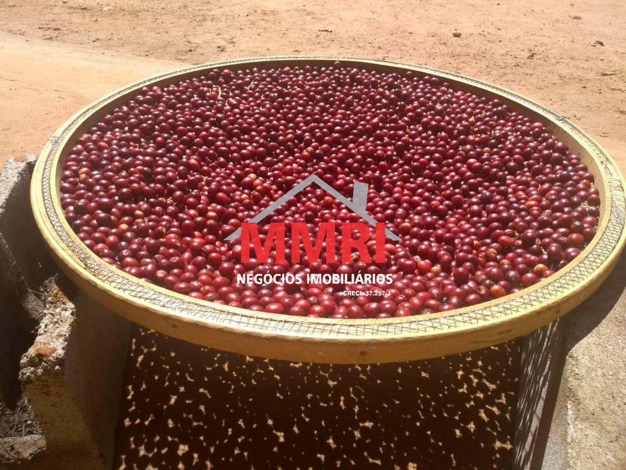 Fazenda, 1333 m² - Foto 24