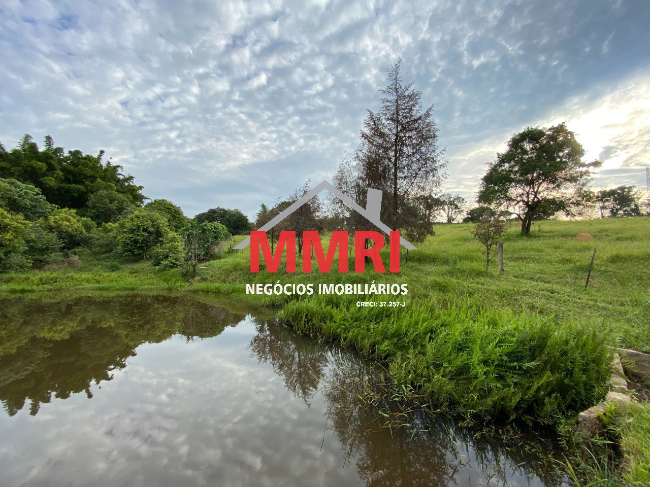 Terreno, 2 hectares - Foto 17