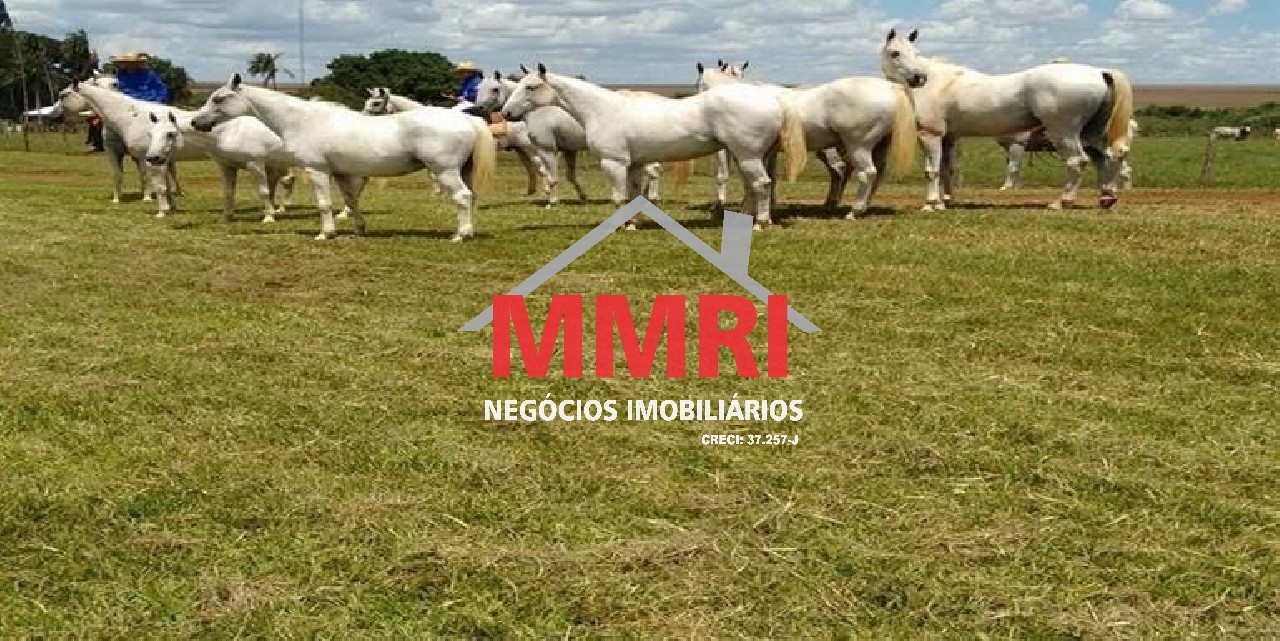 Fazenda, 8 hectares - Foto 5