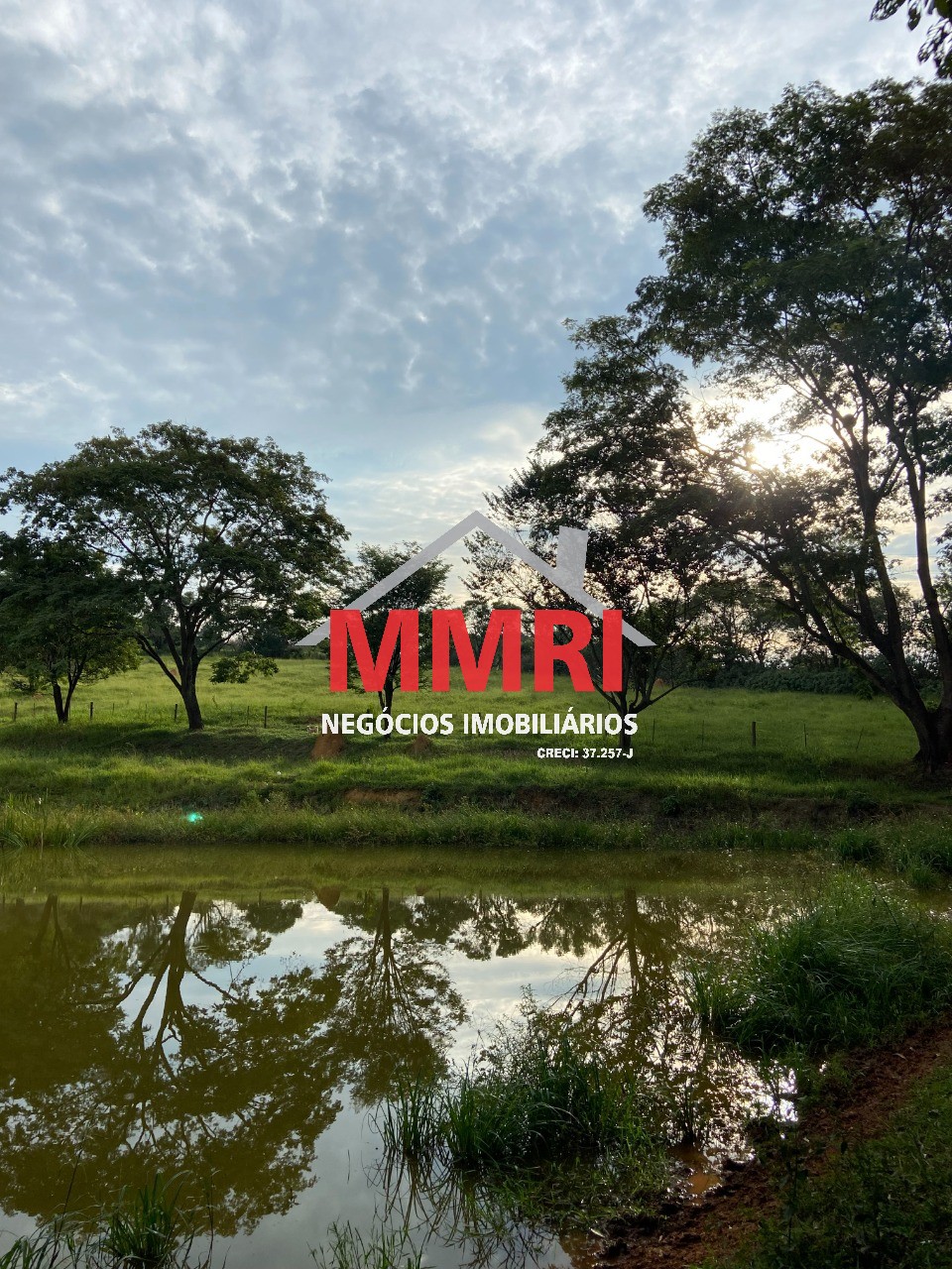 Terreno, 2 hectares - Foto 8