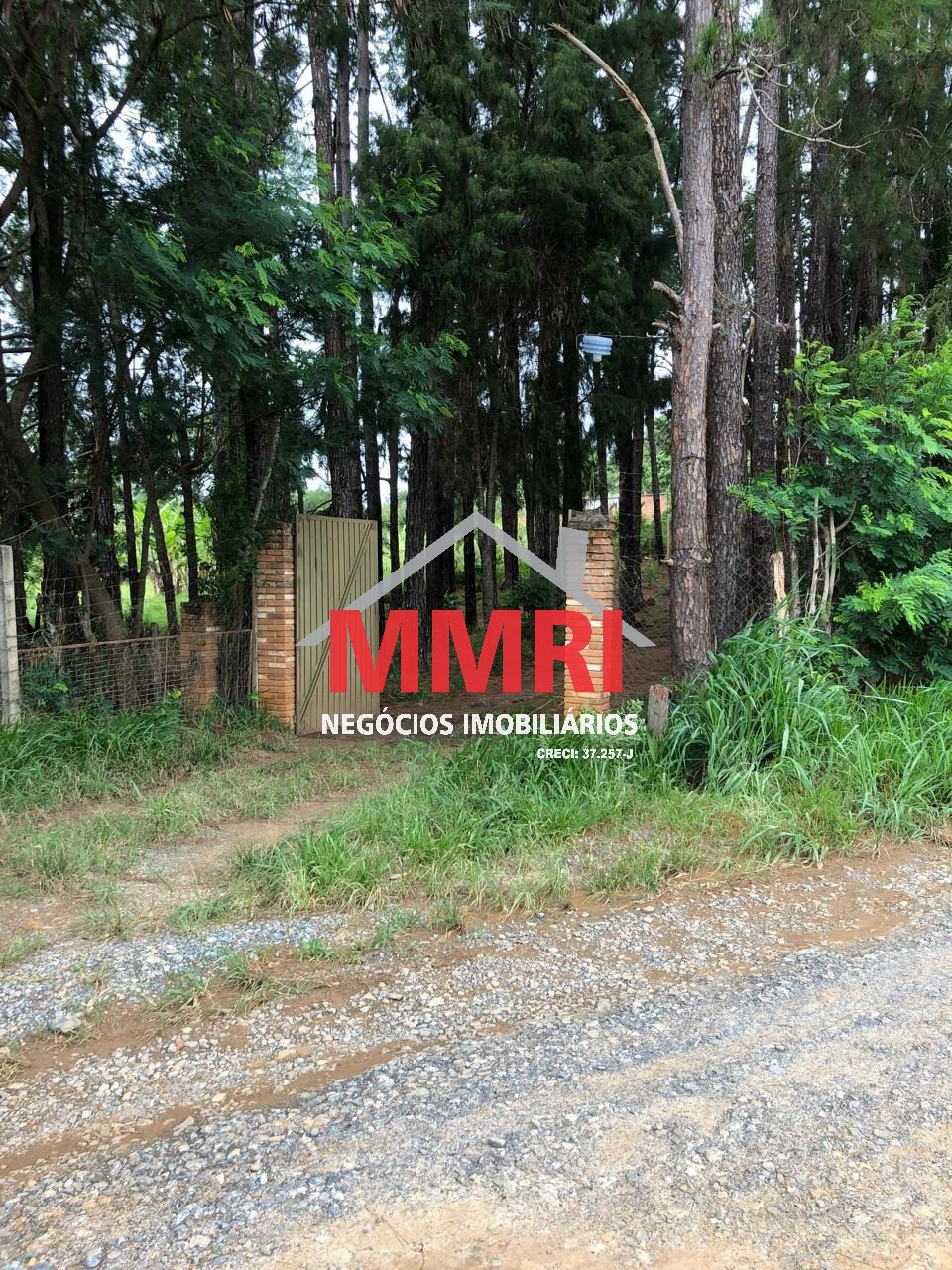 Sítio, 18275 m² - Foto 7