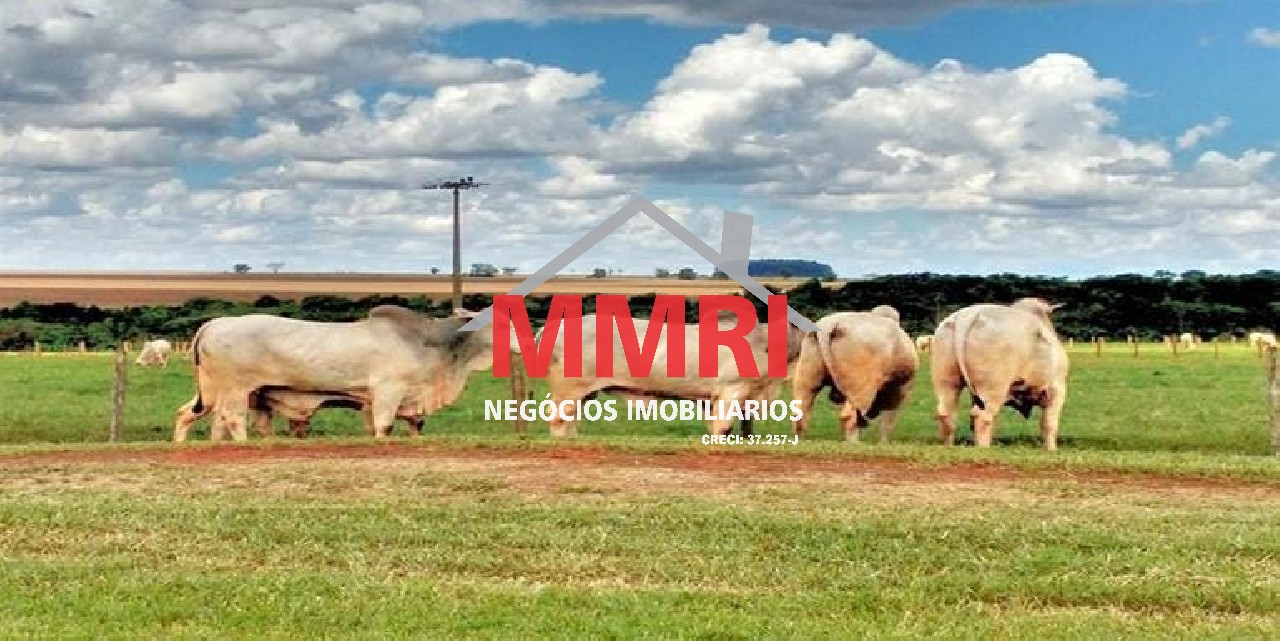 Fazenda, 8 hectares - Foto 4