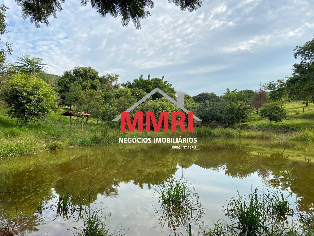 Terreno, 2 hectares - Foto 7