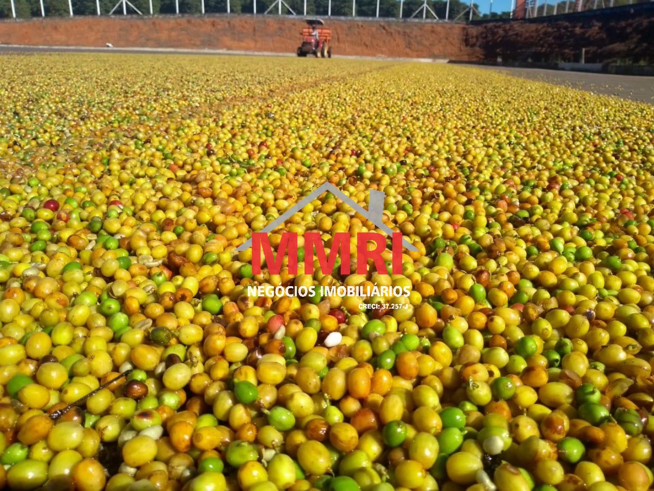 Fazenda, 1333 m² - Foto 29