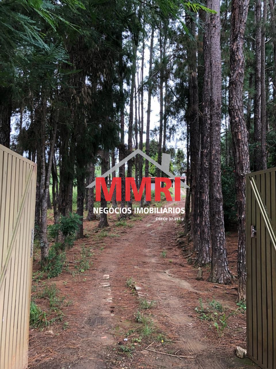 Sítio, 18275 m² - Foto 5