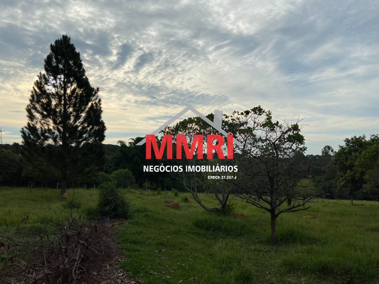 Terreno, 2 hectares - Foto 22