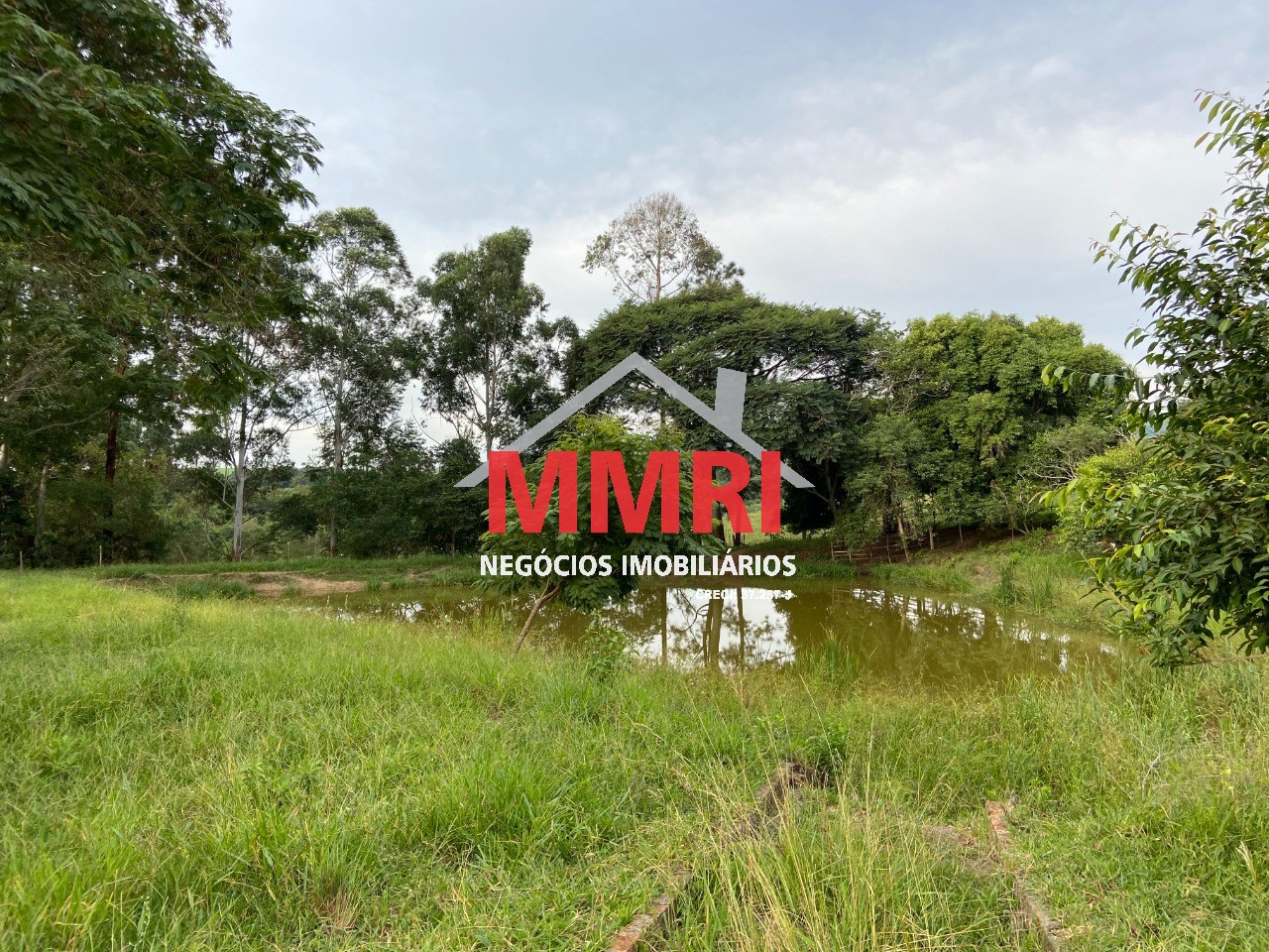 Terreno, 2 hectares - Foto 14