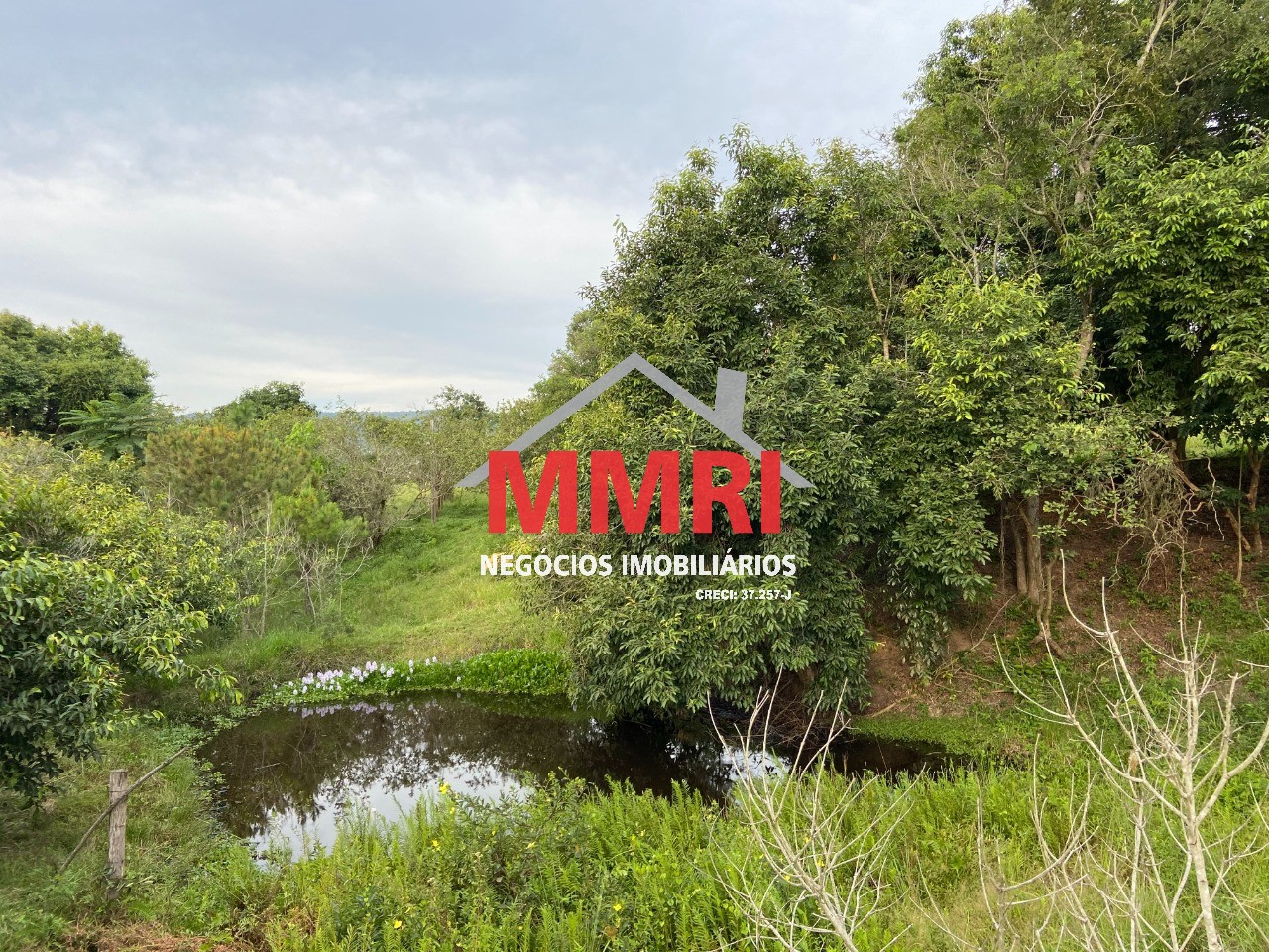 Terreno, 2 hectares - Foto 18