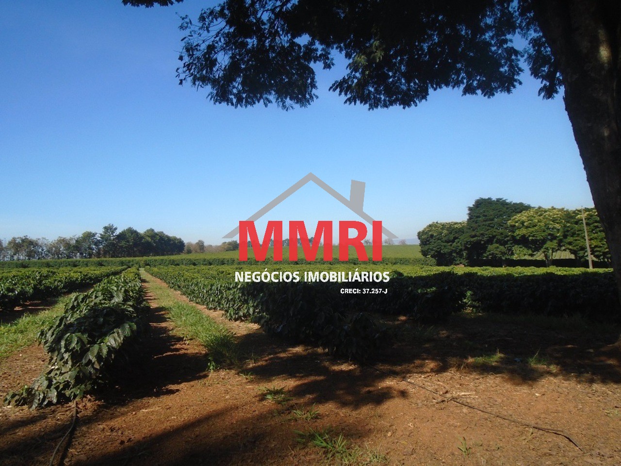 Fazenda, 1333 m² - Foto 11