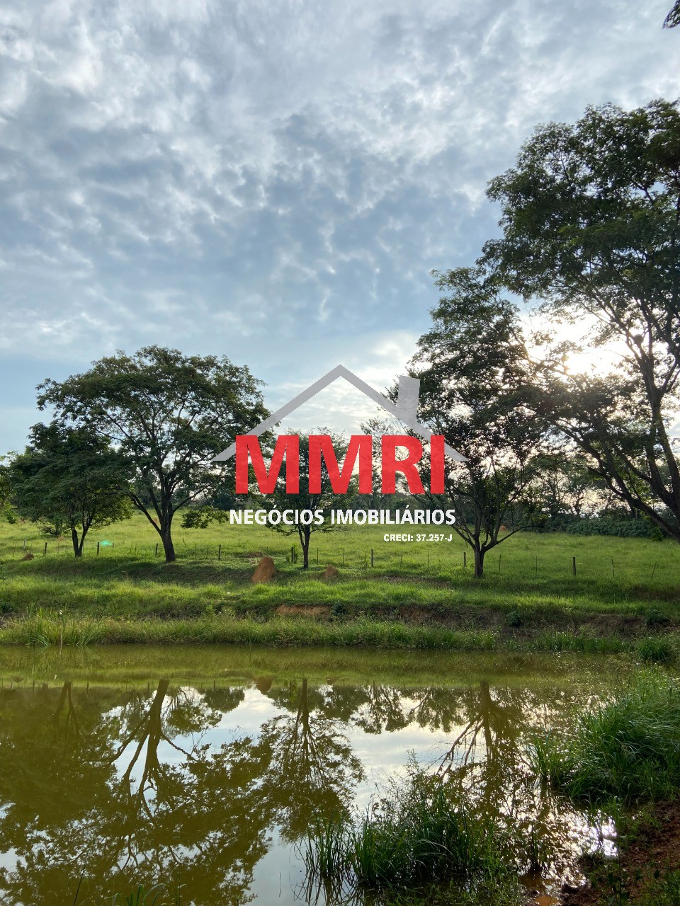 Terreno, 2 hectares - Foto 9