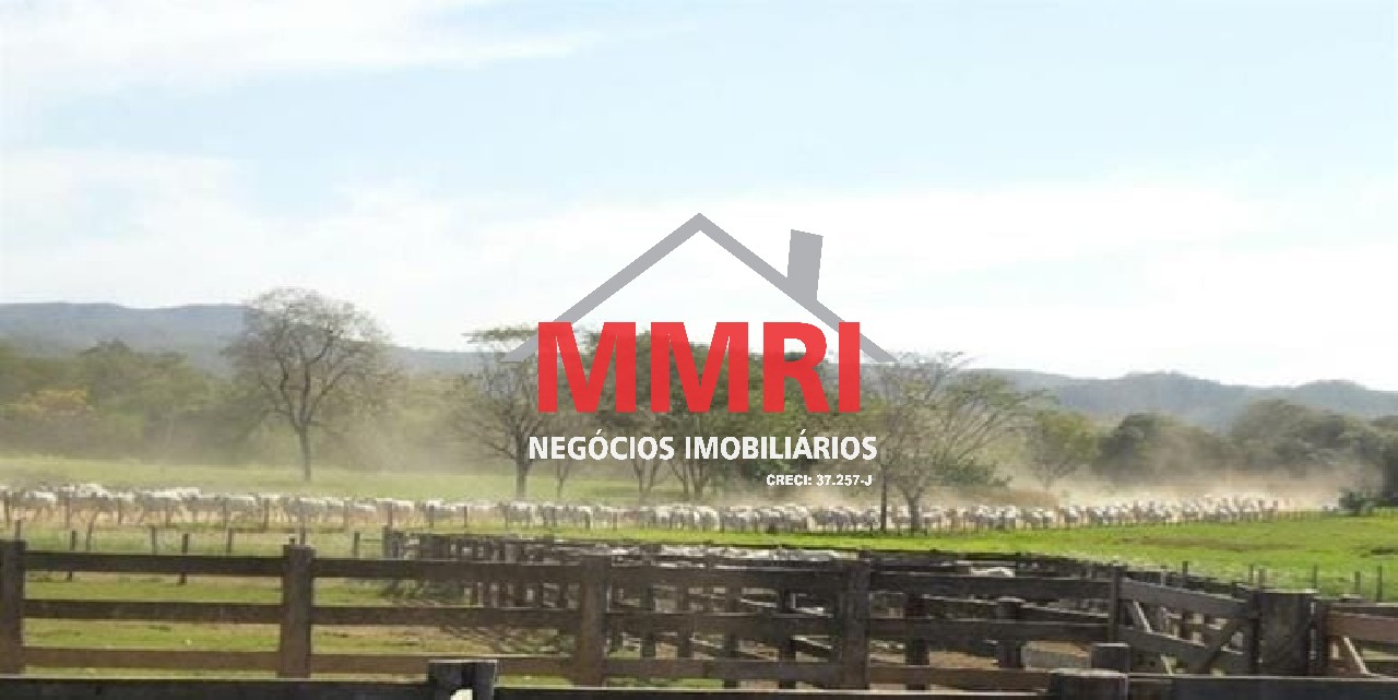 Fazenda, 8 hectares - Foto 2