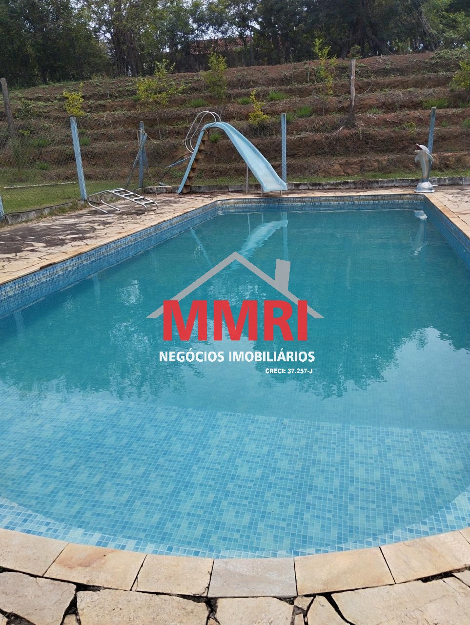 Sítio, 18275 m² - Foto 8