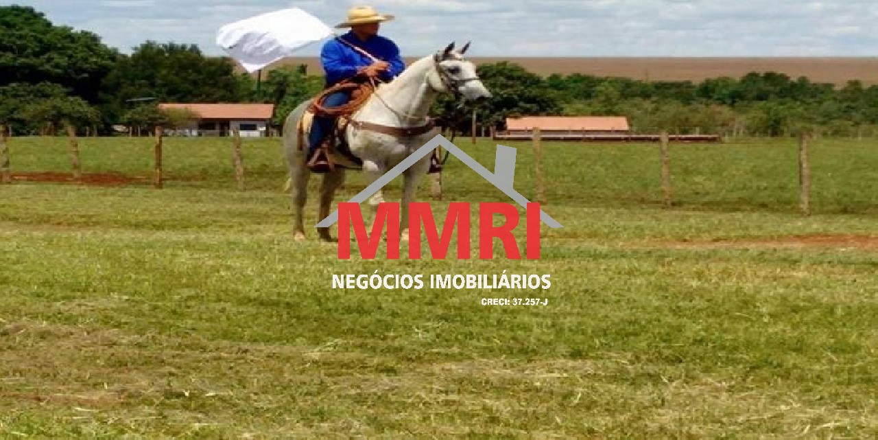 Fazenda, 8 hectares - Foto 10