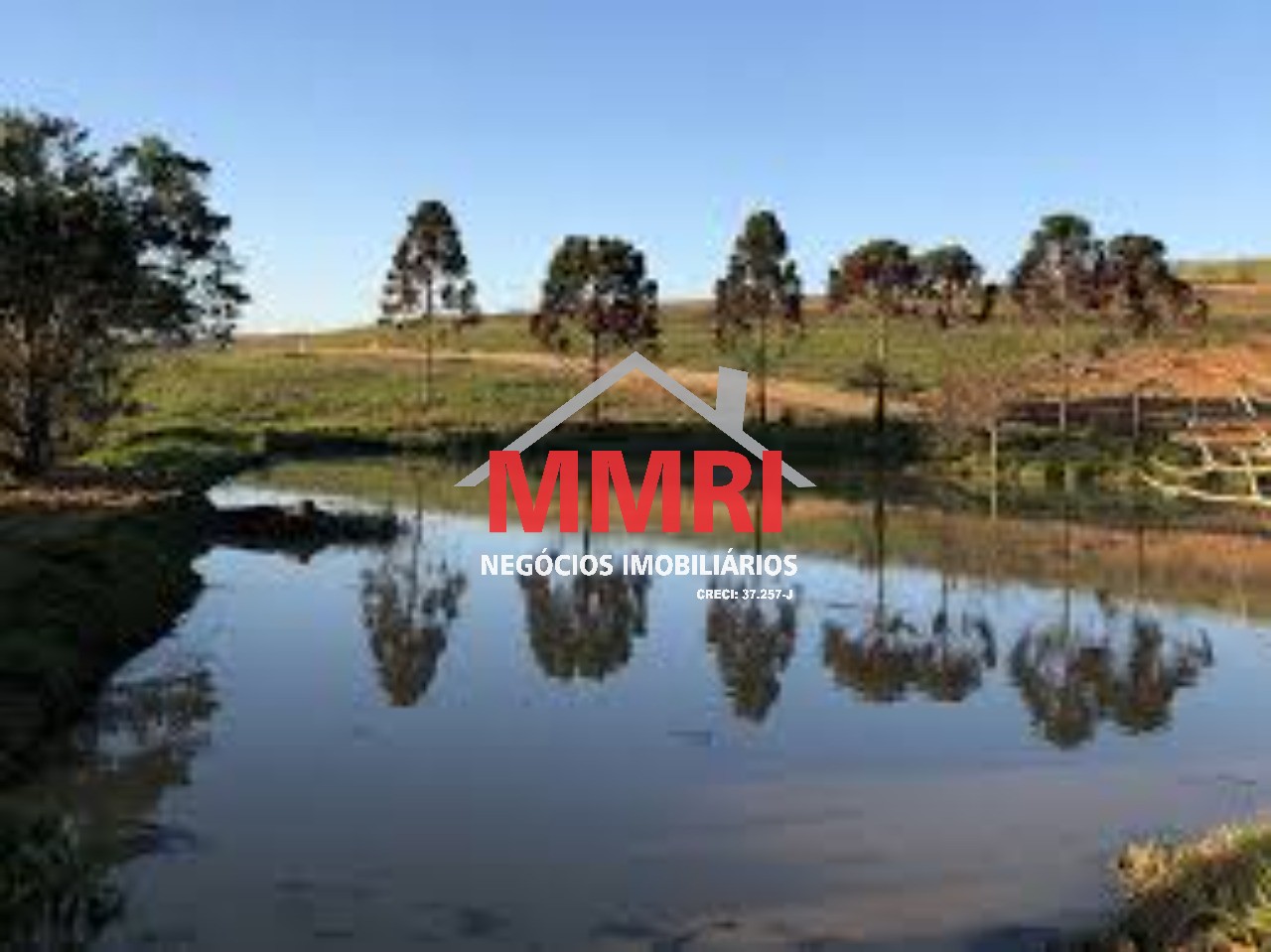 Terreno, 1000 m² - Foto 7