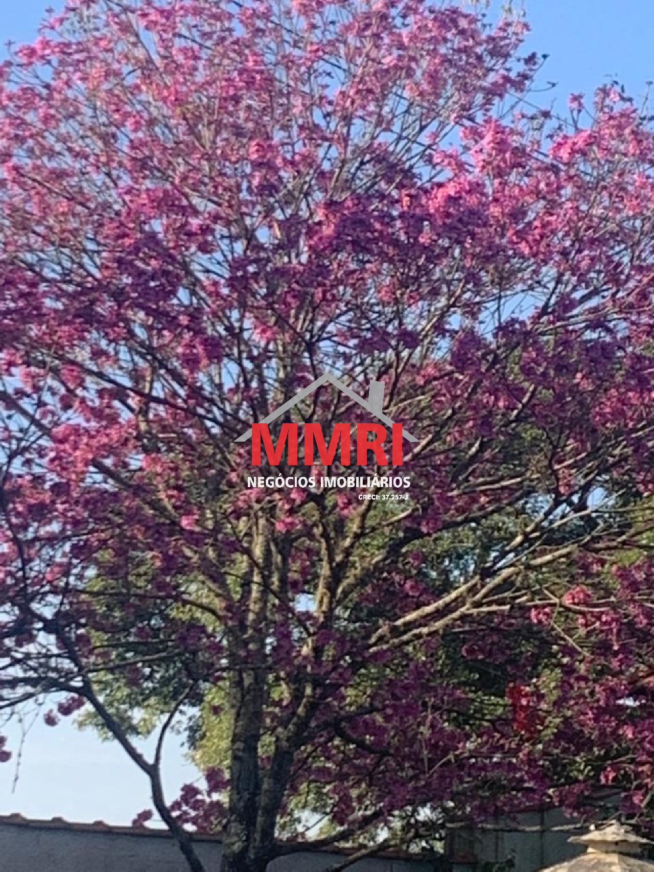 Chácara, 3 quartos - Foto 21