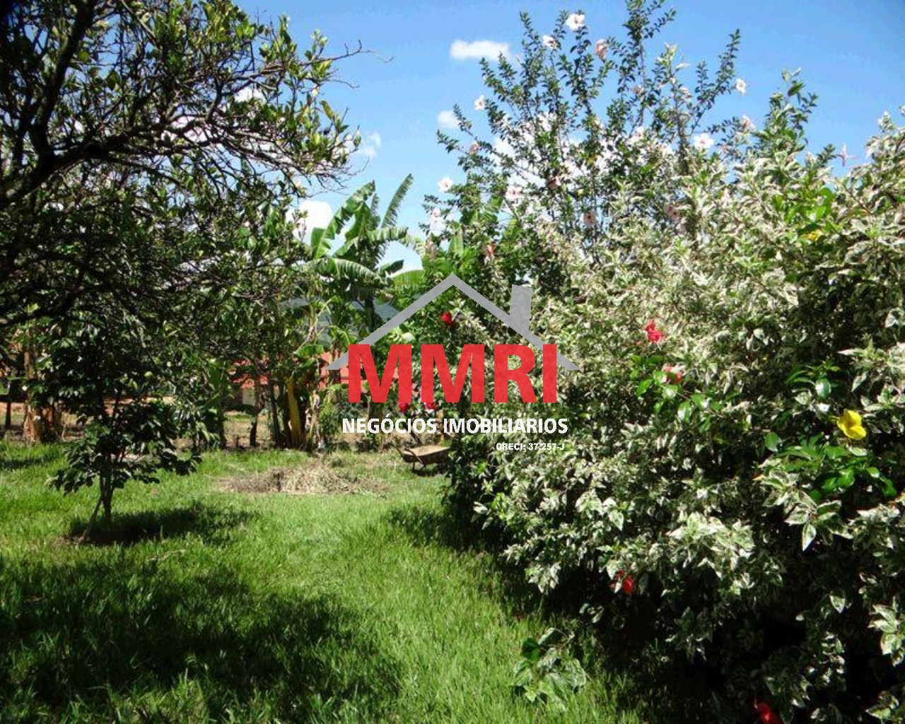 Chácara, 4 quartos - Foto 7