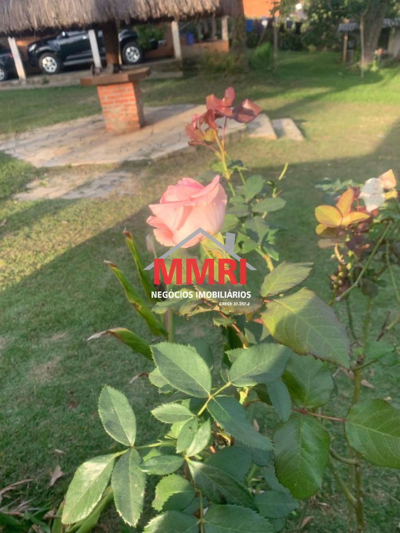 Chácara, 3 quartos - Foto 20