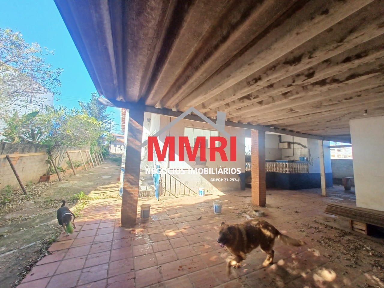 Casa, 4 quartos - Foto 3