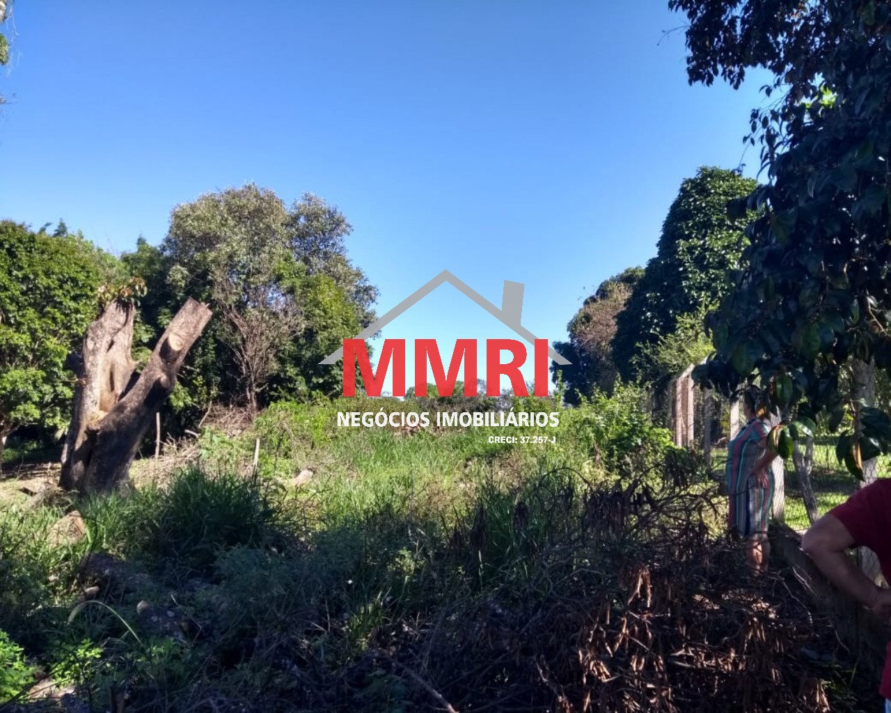 Terreno, 7000 m² - Foto 12