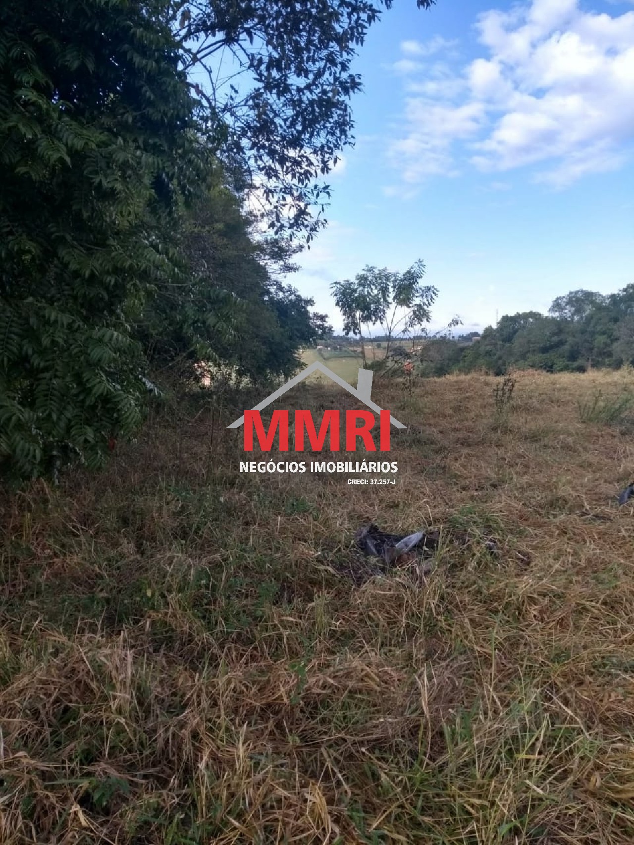 Terreno, 7000 m² - Foto 4