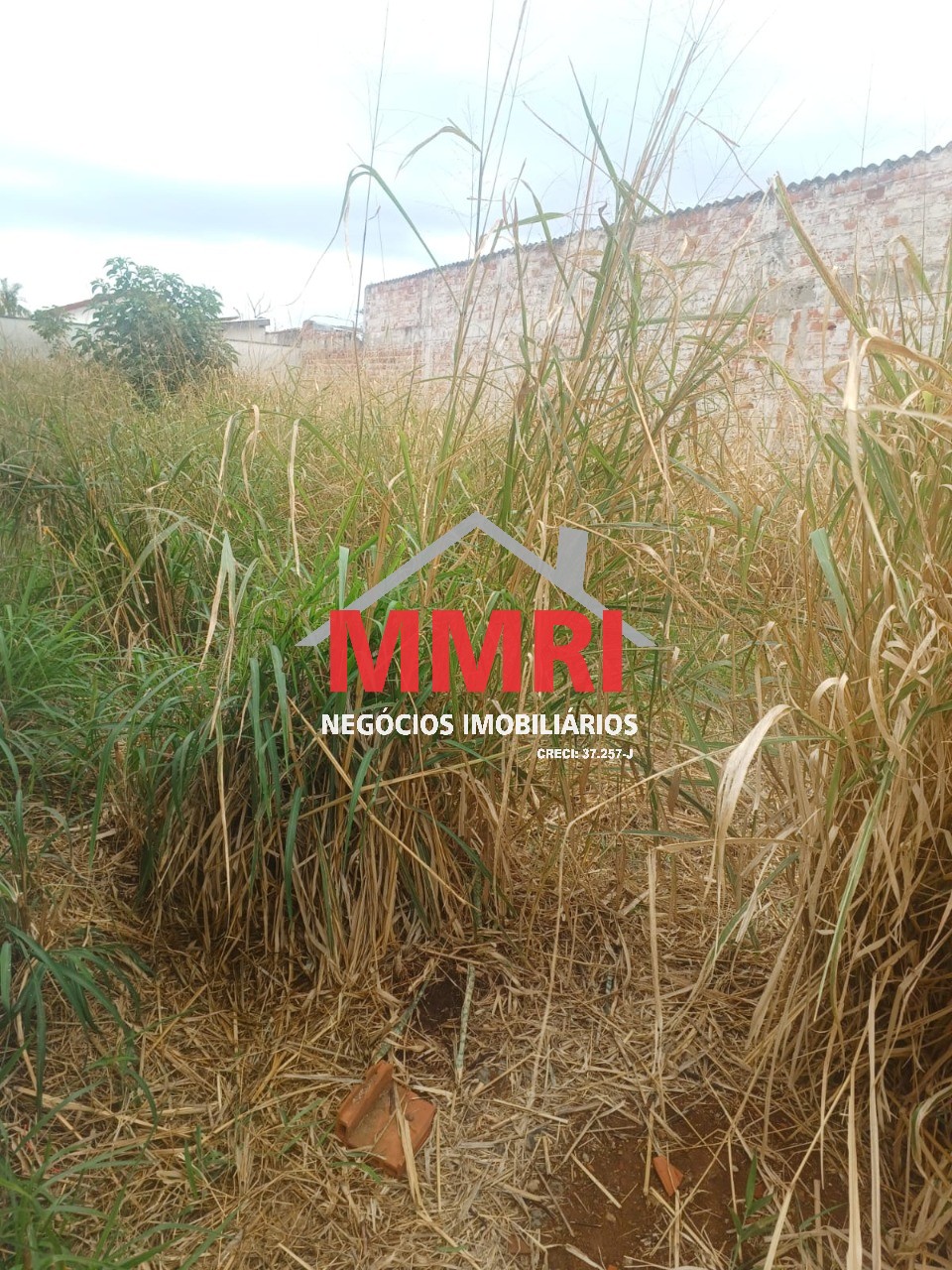 Terreno, 200 m² - Foto 4