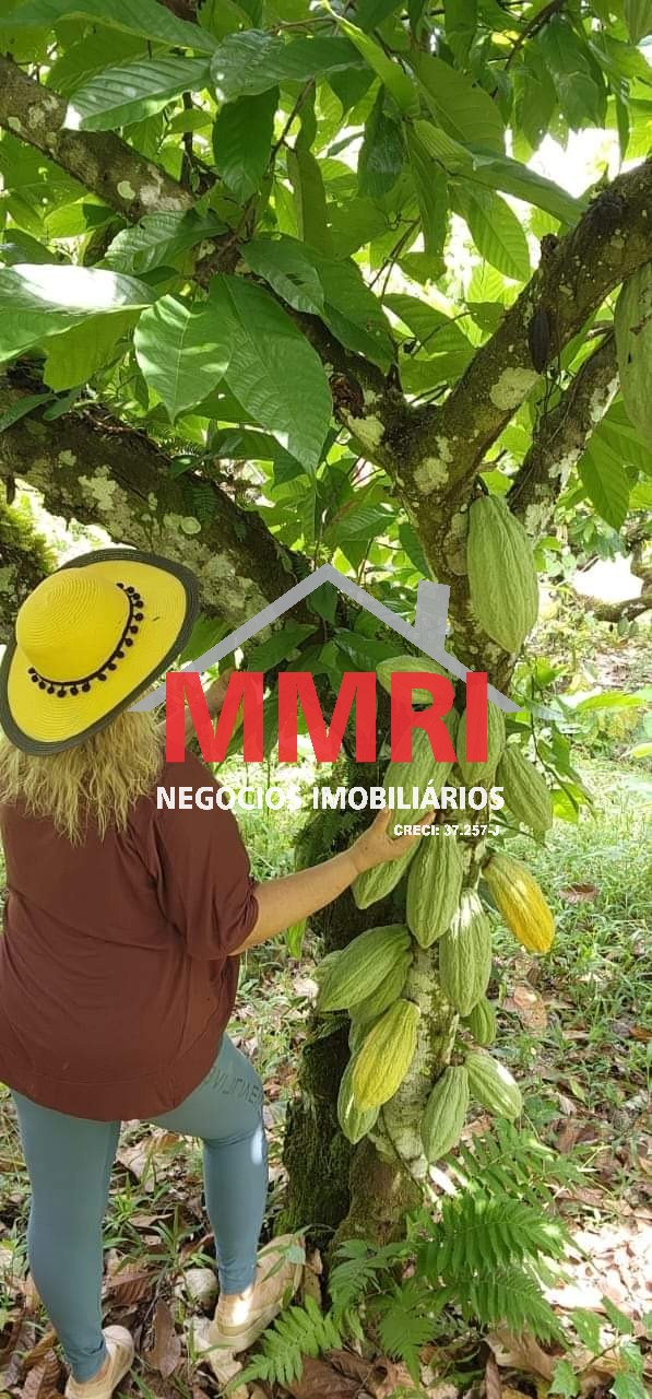 Fazenda, 2000 m² - Foto 22