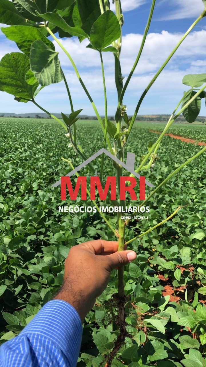 Fazenda, 3645 m² - Foto 3